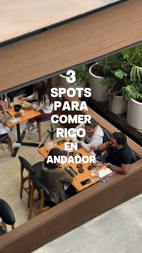 Reel Andador
