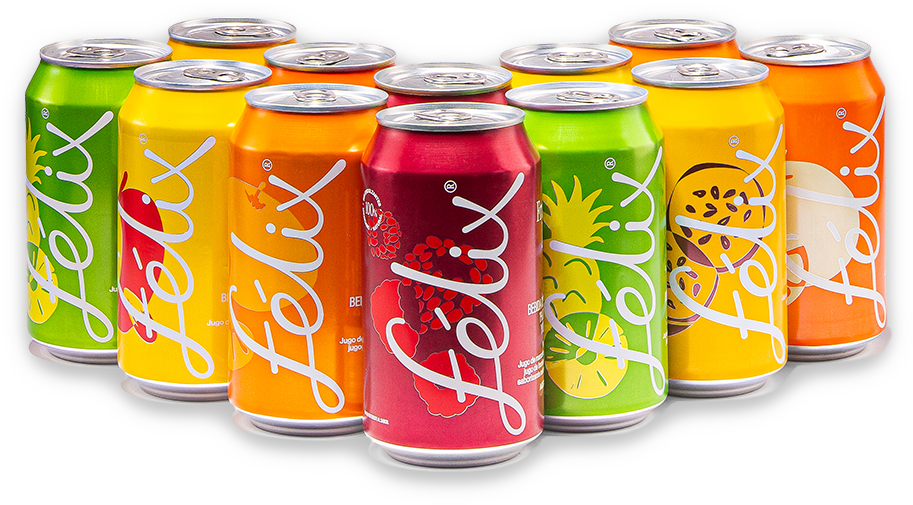 Discovery Pack Félix
